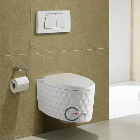 American Standard Sanitary Ware Ceramic Toilets Wc Round Sofe Close Wall Hung Toilet