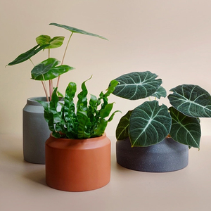 モダンな<span class=keywords><strong>3</strong></span>サイズ丸型屋内屋外装飾セメント素朴なテラコッタ家庭用および園芸製品植木鉢プランター