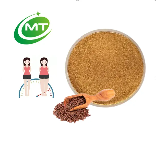 ISO Certified Natural Grains of Paradise Extract Powder Aframomum melegueta powder