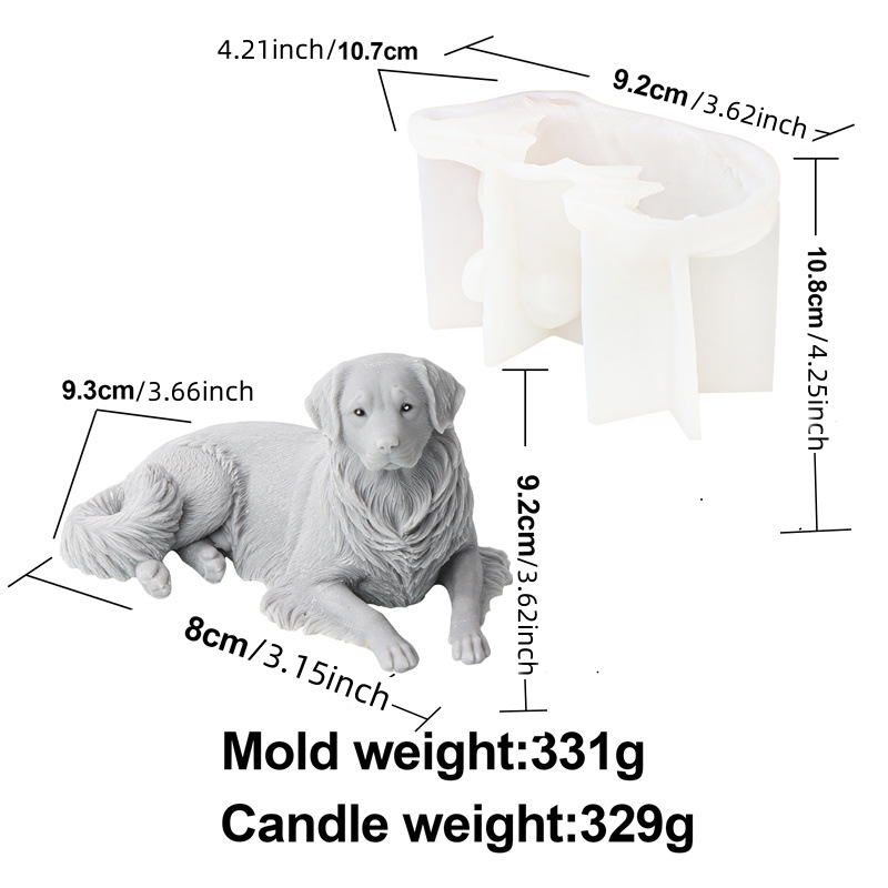 moule pour chien 7