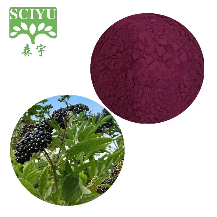 Sciyu Lebensmittelqualität Anthocyanidine 1% ~ 25% Elderberry Frucht Extrakt Pulver Kräuterextrakt mit UV-Testmethode für gesunde Lebensmittel