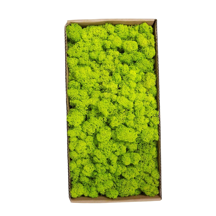 Yellowish Green 500g