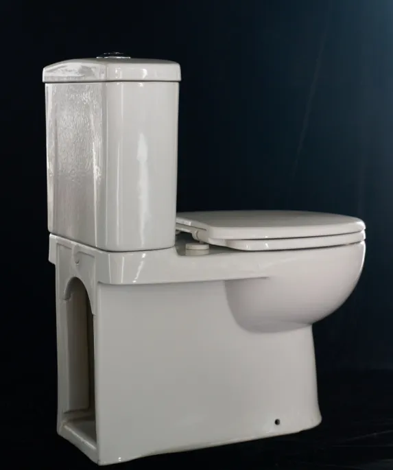 חנות מפעל לוגו מותאם אישית קרמיקה רצפה צמודה חדר אמבטיה WC ניקוי עצמי שני חלקים אסלה