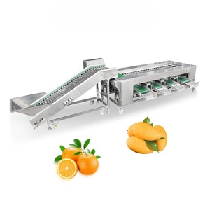 Blueberry Apple Mango Vegetable Fruit <strong>Sorting</strong> <strong>Machine</strong> Olive <strong>Sorting</strong> <strong>Machine</strong> - Product Image 4
