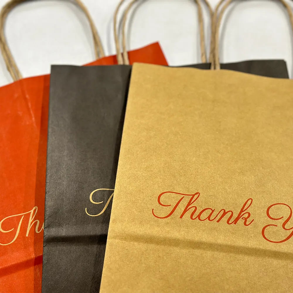 Sacchetto di carta da asporto con manico a torsione con sacchetto di carta regalo di ringraziamento stampato materiale usa e getta