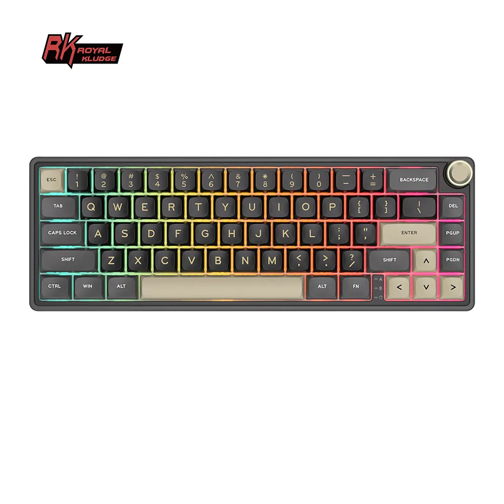 Kraliyet Kludge RK R65 Mini oyun mekanik klavye 66Key oyun klavye TYPE-C kablolu RGB Hotswap temassız klavye