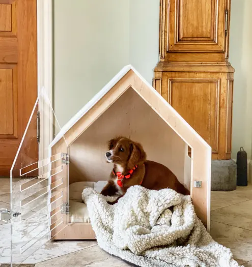 Vendita calda moderna casa per cuccioli,