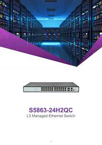 L3-Management-Netzwerk-Switch mit 26 Ports 2x100G Uplink 24x10G SNMP QoS POE VLAN für den industriellen Einsatz - Product Image 2