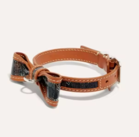 brown collar
