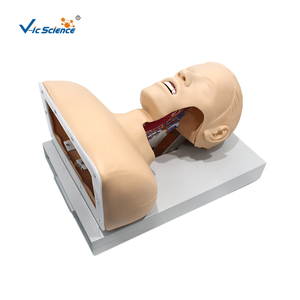 Advanced <strong>Human</strong> Tracheal Intubation Training Model - Product Image 2