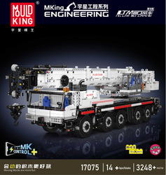 Yuxing 17075-ltm1110 crane