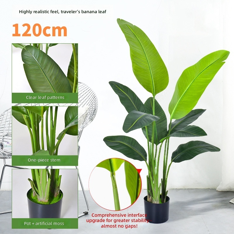 120cm high sim traveler banana-real hand leaf 9 leaves-black pla