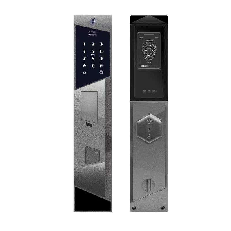 Competitive Price Qleung S923 Intelligent USmart GO Wifi APP Lock Password Card Biometric Fingerprint Smart Lock Door