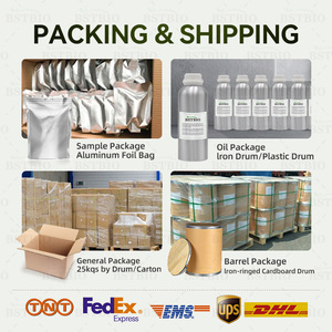 BSTBIO西洋参提取物粉10:1 20:1 80% 美国人参皂苷 - Product Image 5