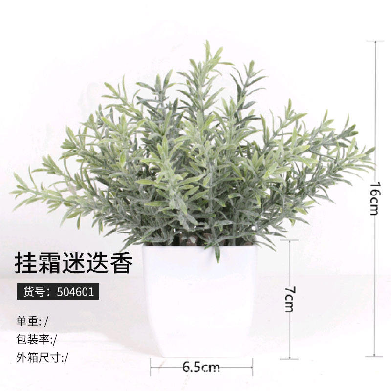 504601 crème de romarin (à partir de 125 pots)