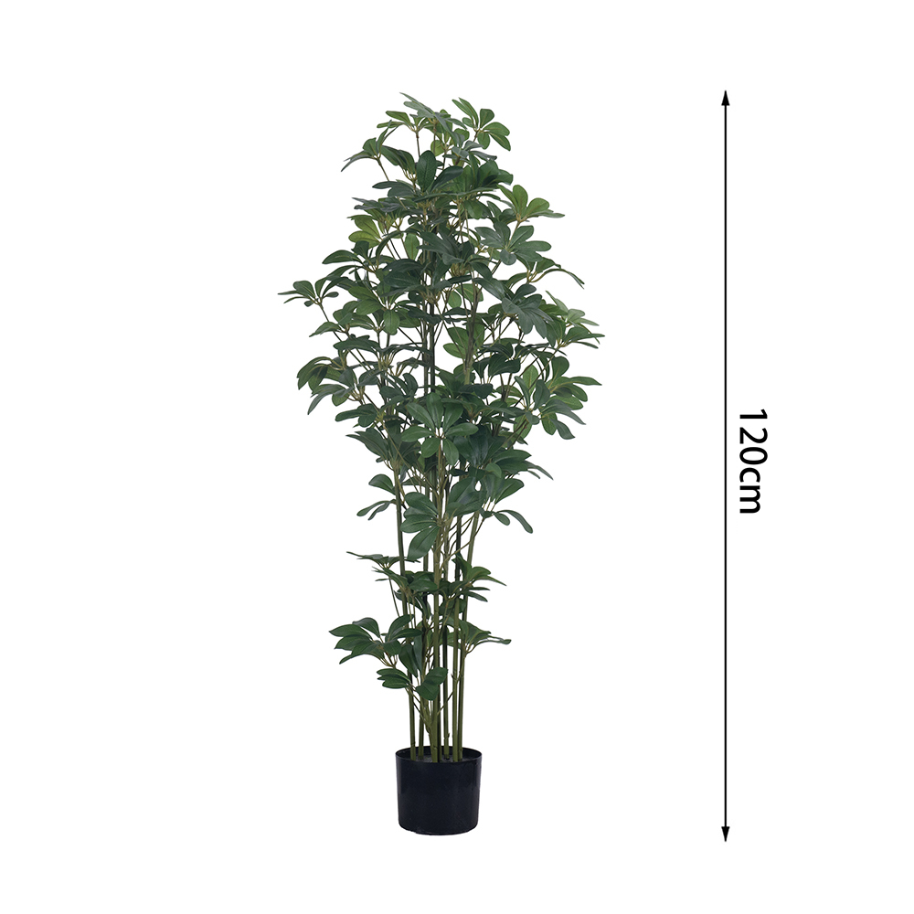 Árbol Schefflera de 120 cm (4 pies) - Modelo F