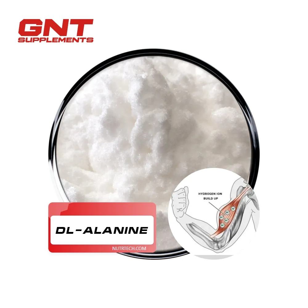 N metil Alanina Beta-Alanina polvere alimentare Alanina Dl-Alanina In Stock
