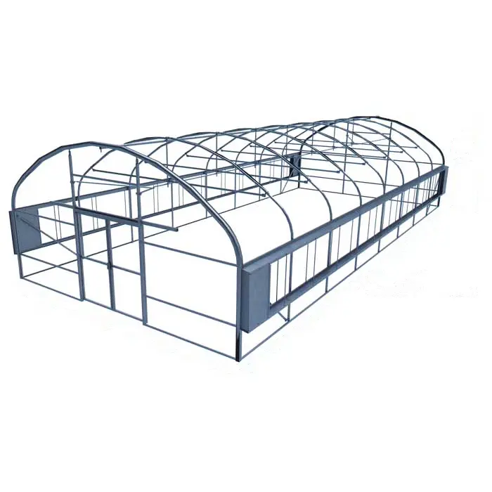 Low Cost Economic Tomato Tunnel Plastic Film Greenhouse for Vegetable