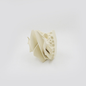Equipo de enseñanza etmoidal para agrandar la ciencia médica, instrumento científico, modelo de simulación de modelo óseo de disección - Product Image 4