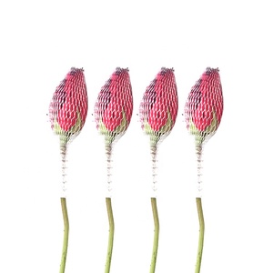 Lưới Bảo Vệ Tay Áo Hoa Hồng Lưới Bọc Hoa Màu Đỏ Cho Hoa, Lưới Trang Trí Hoa - Product Image 2