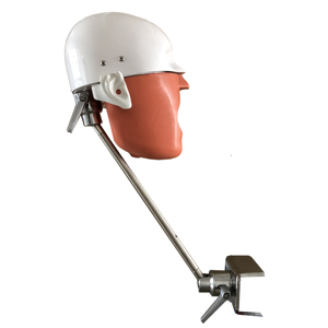 ראש פנטום טיפול שיניים מודל stepper הליכה סימולטורים tapodont resin שיניים מודלים רפואת שיניים טיפול טיפול מוצרים