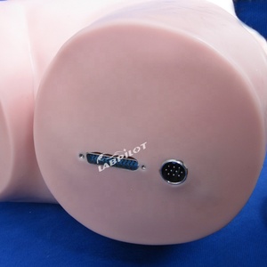 Digital Remote Computerized Abdominal <strong>Palpation</strong> Simulator,Physical Examination Teaching, Nursing Training Manikin - Product Image 3