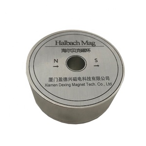 Dexinmag Calibration Magnet Reference Magnets Constant Magnetic Field Permanent Magnet - Product Image 4