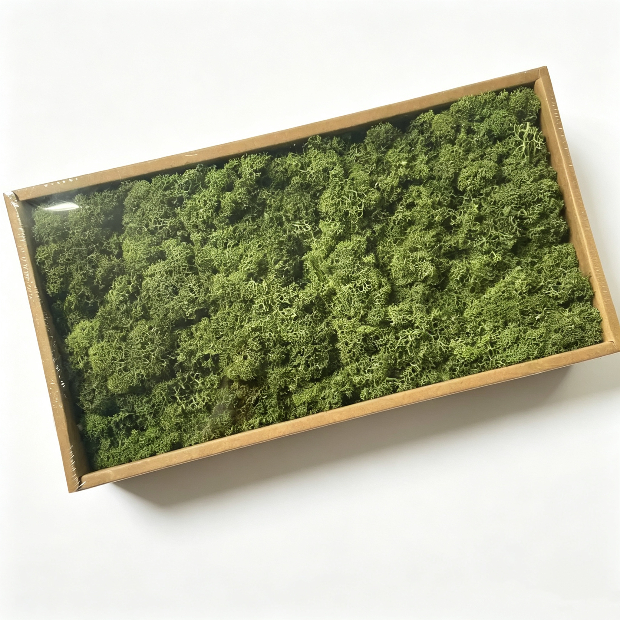 verde oliva
