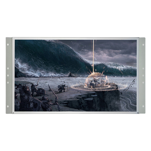 21.5inch <strong>TFT</strong> LCD Screen Monitor 1920*1080 Resolution Open Metal Frame 60Hz Refresh Rate Arcade Gaming <strong>Display</strong> High Amusement - Product Image 2