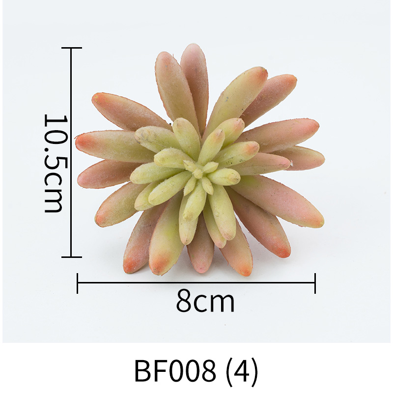 BF008-(4)