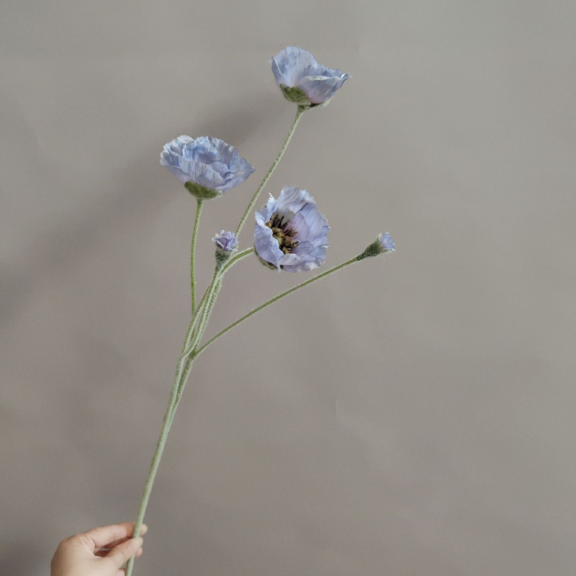 Bleu clair