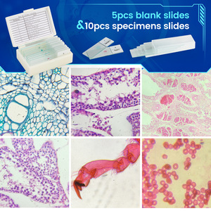 Microscopio para niños adultos 40X-2000X Microscopio monocular compuesto para laboratorio escolar Educación en el hogar con portaobjetos de microscopio - Product Image 5