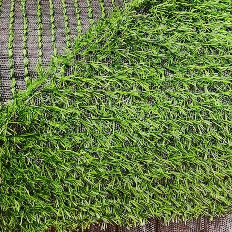 20 glued-free spring grass-whole