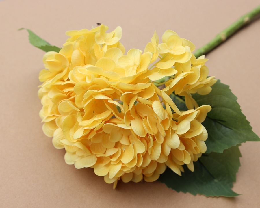 Jaune