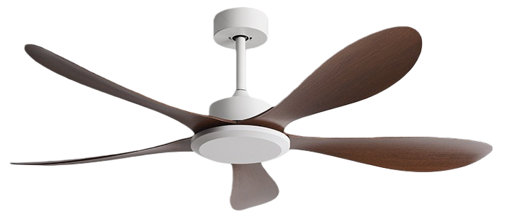 ไม้วอลนัทขาว