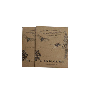 Benutzer definierter Druck Small Seed Kraft Paper String Tie Envelope - Product Image 2
