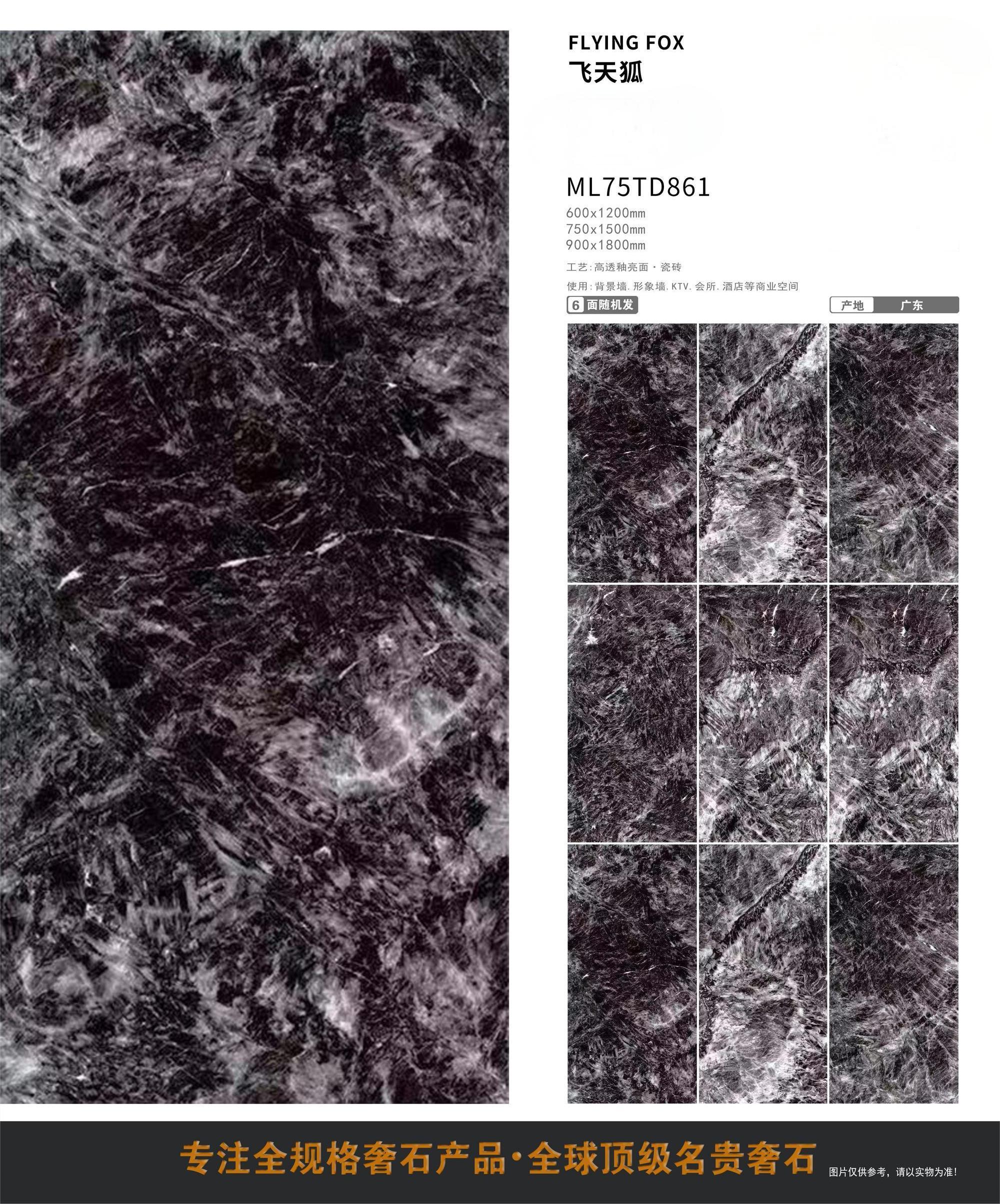 ML861