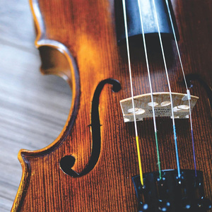 Factory Collection Günstige 13 Style GDAE Professional Performances Edelstahl Nylon Violin Strings Set