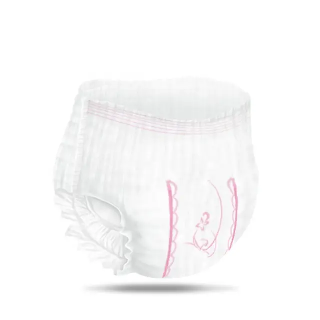 SUPER ABSORBENT CORE Overnight Cotton Disposable Unscented Maximum Coverage Feminine Period Maternal pants Postpartum Underwear
