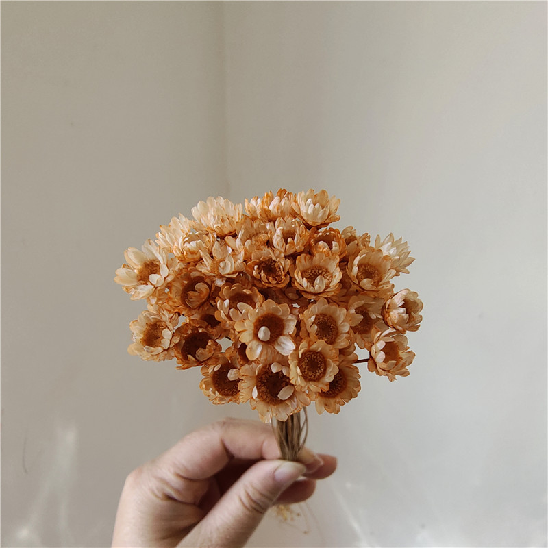 50 stems - Champagne