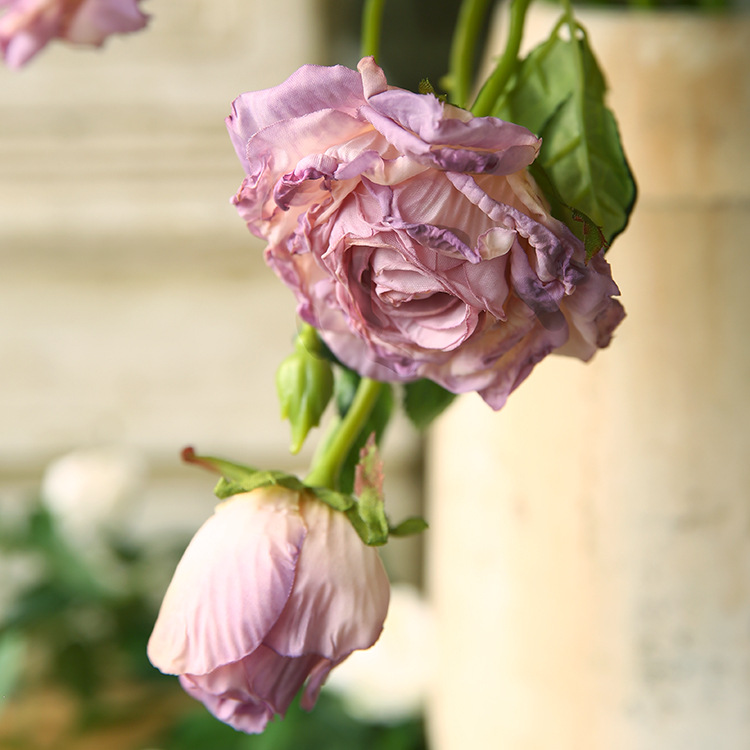 light purple