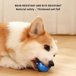 Nueva pelota de entrenamiento de hierba gatera, pequeño juguete interactivo automóvil para mascotas para gatos y perros, puente automático, juguete para gatos rodantes - Product Image 4