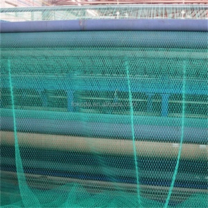 D Fishing <strong>Net</strong> Cast Fishing <strong>Net</strong> 380D/9PLY*1&quot;*100MD*200MTRS POLYETHYLENE HDPE HDPE <strong>NET</strong> for <strong>MAKE</strong> TRAP - Product Image 6