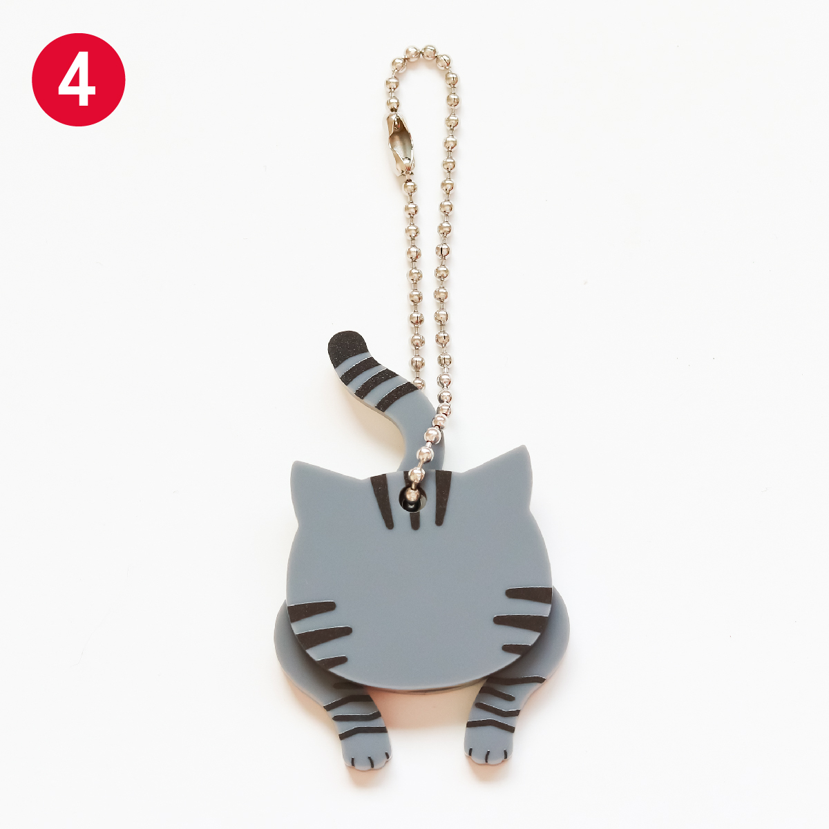 4. Silver Tabby Cat(Sabatora)