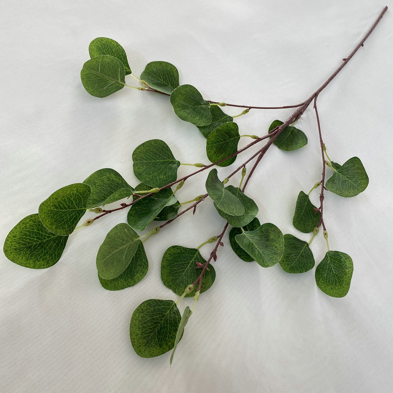 11# Feuille d'argent sans fruit, tige droite et verte