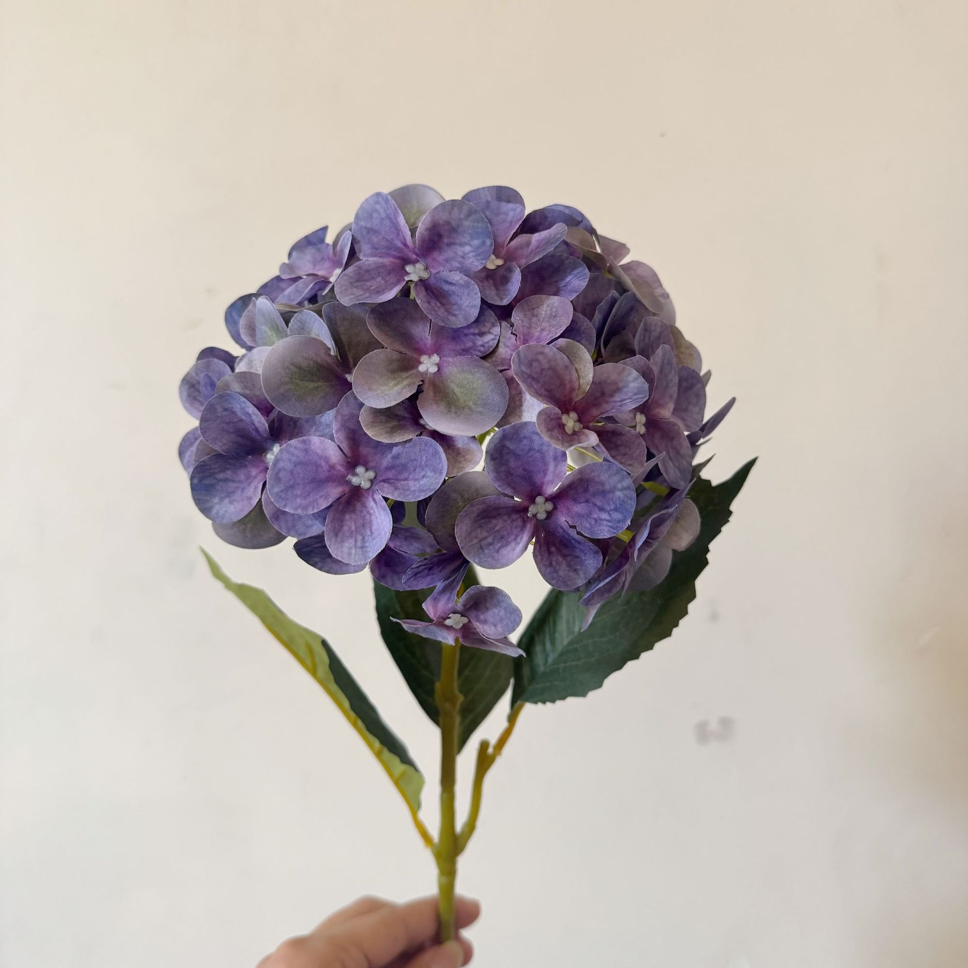 Violet foncé