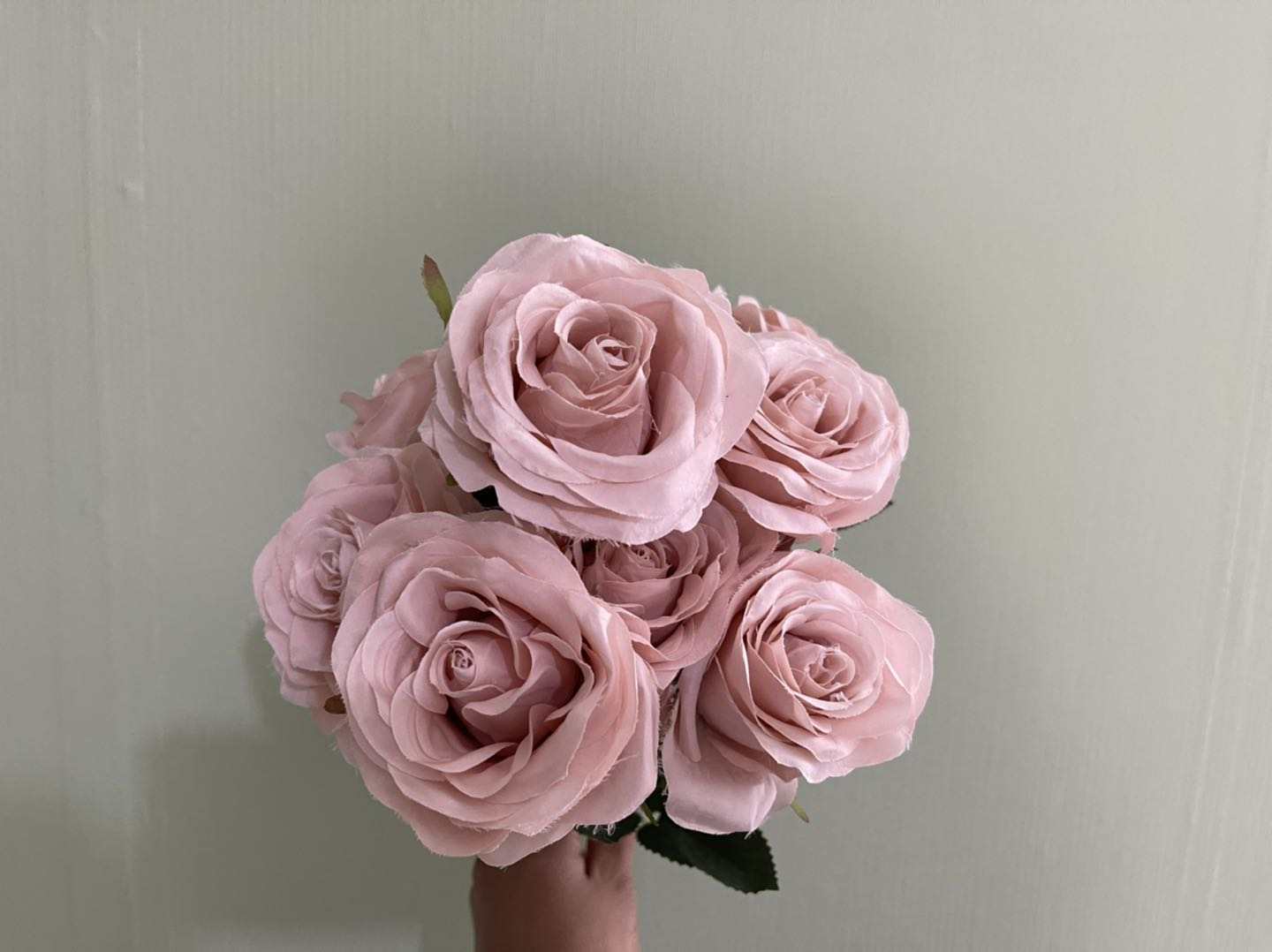 Rosa