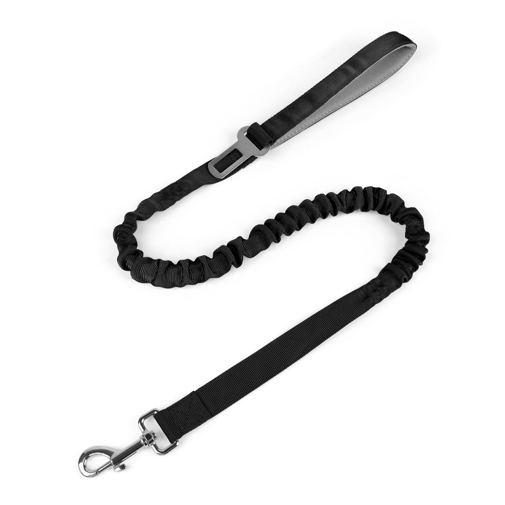 leash1