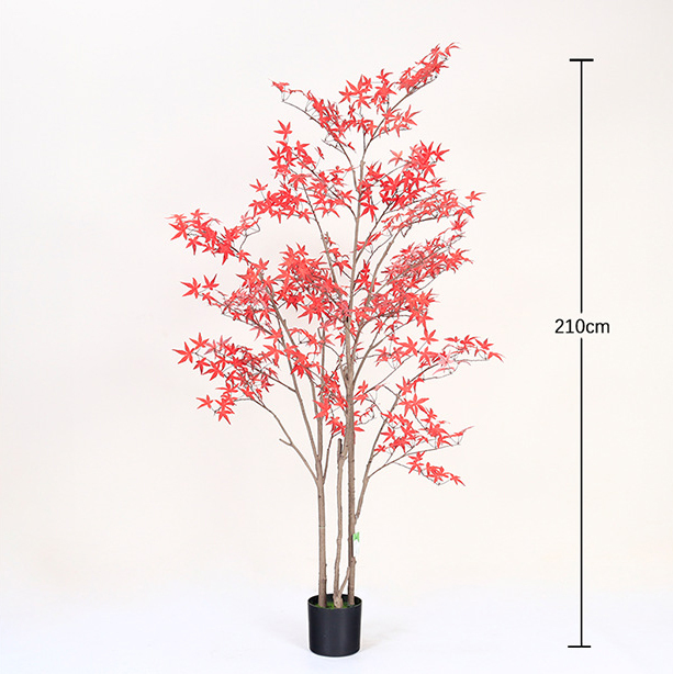 Rouge 210cm
