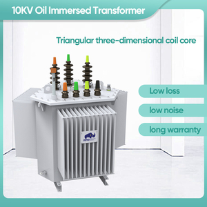 Ingresso rinoceronte elettrico e 220/380/400/440/110V di uscita 50/80 KVA trifase olio immerso trasformatore con 10/35/6 KV - Product Image 6